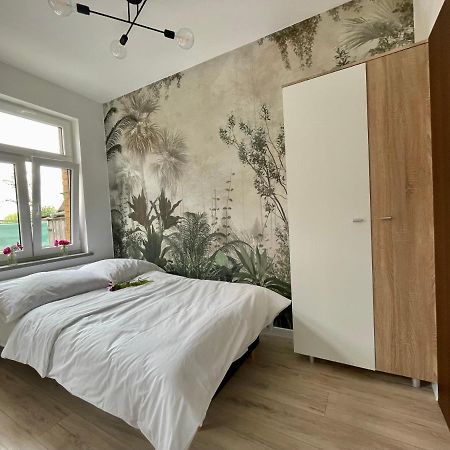 Studio Bielawa U Podnoza Gor Sowich 外观 照片