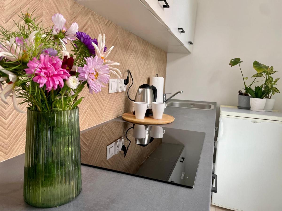 Studio Bielawa U Podnoza Gor Sowich 外观 照片